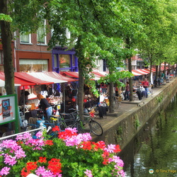 Delft Town
